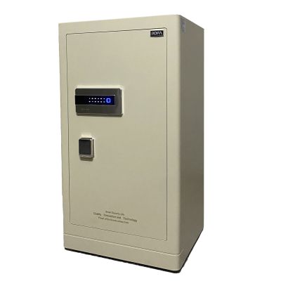 Két sắt BOSHANG SERIES FDG-A1/D-100