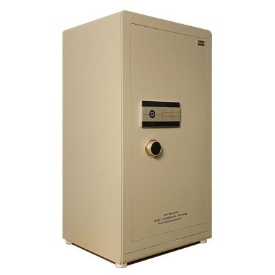 Két sắt BOJIN SERIES BF-V-100BJ