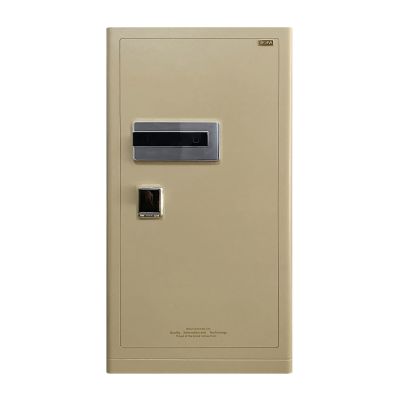 Két sắt BOSHANG SERIES FDG-A1/D-100