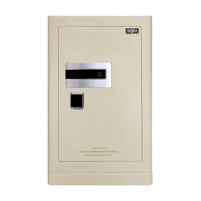 Két sắt BOSHANG SERIES FDG-A1/D-80