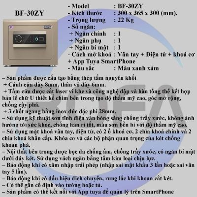 Két Sắt BOFAN SERIES BF-30ZY