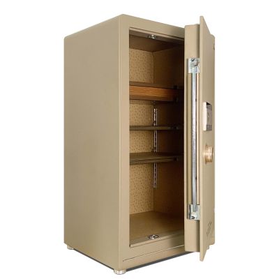 Két sắt BOJIN SERIES BF-V-100BJ