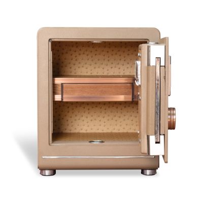  Két sắt BOJIN SERIES BF-V-45BJ