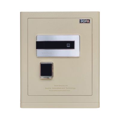 Két sắt BOSHANG SERIES FDX-A/D-45