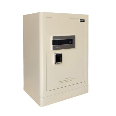 Két sắt BOSHANG SERIES FDG-A1/D-60