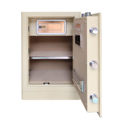 Két sắt BOSHANG SERIES FDG-A1/D-60