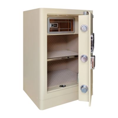 Két sắt BOSHANG SERIES FDG-A1/D-80