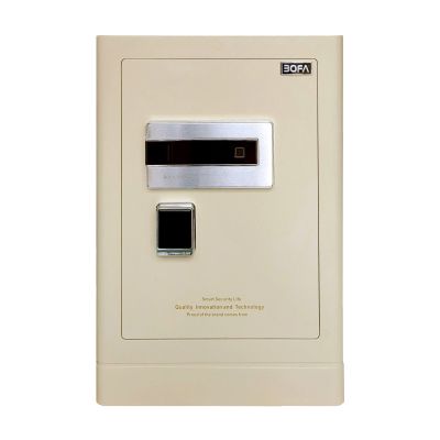 Két sắt BOSHANG SERIES FDG-A1/D-70