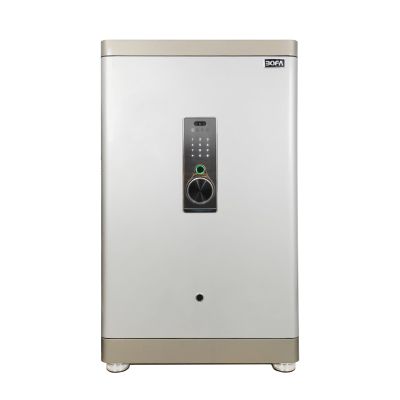 Két sắt BOYA SERIES FDG-A1/D-100BJ III