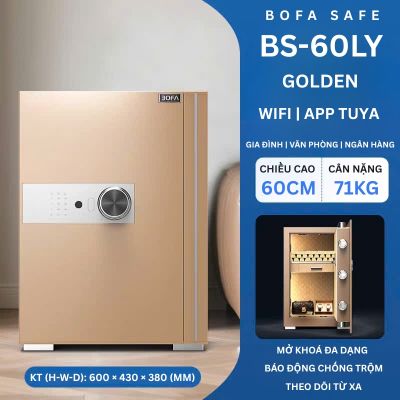 Két sắt BOSHANG SERIES BS-60LY