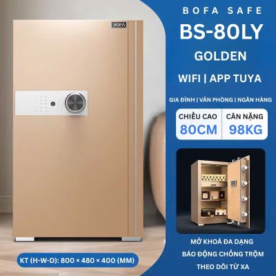Két sắt BOSHANG SERIES BS-80LY